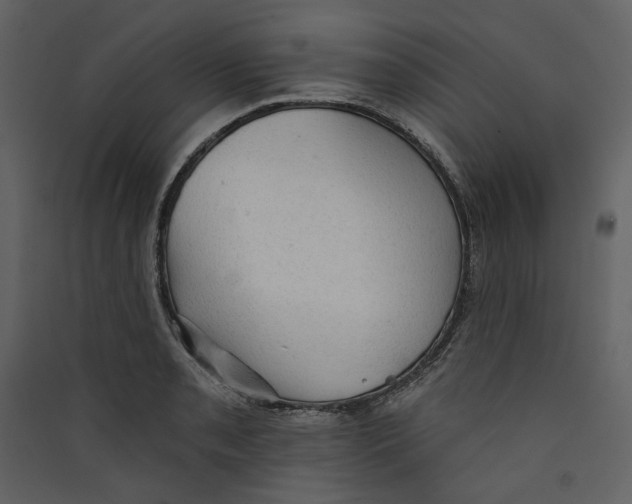 X0000089381085200707131653