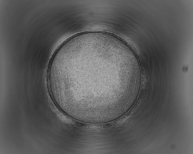 X0000089381086200707131653