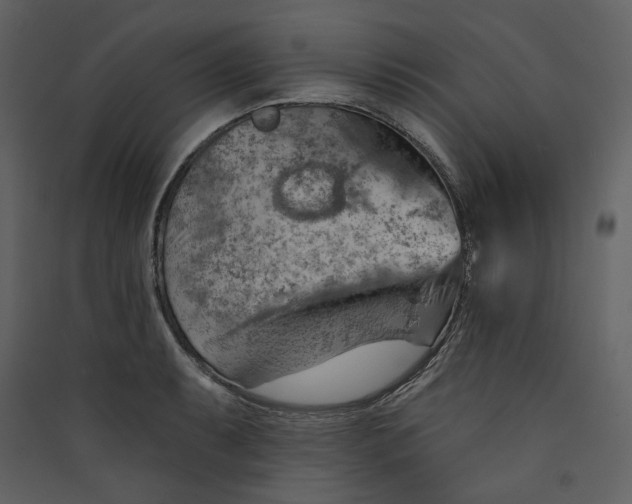 X0000089381087200707131653