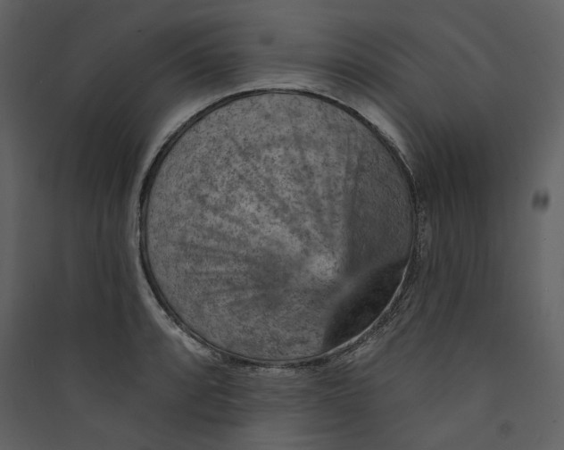 X0000089381088200707131653