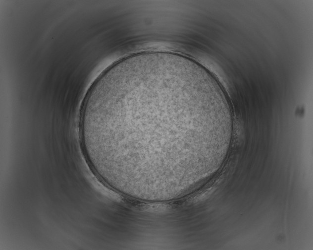 X0000089381090200707131653