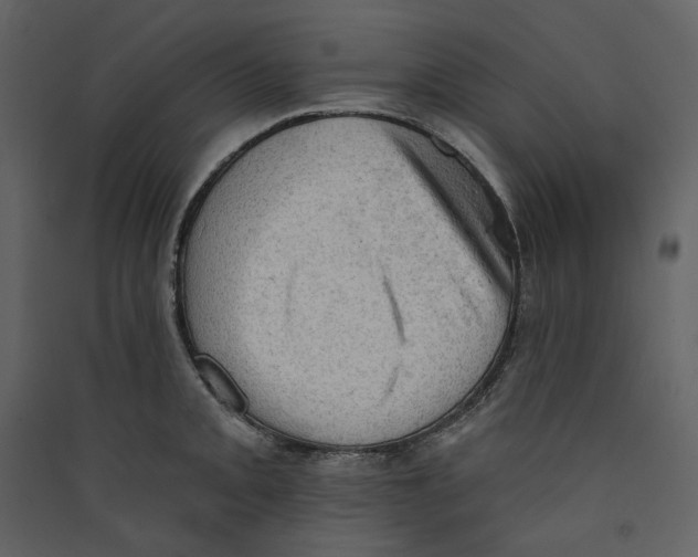 X0000089381093200707131653