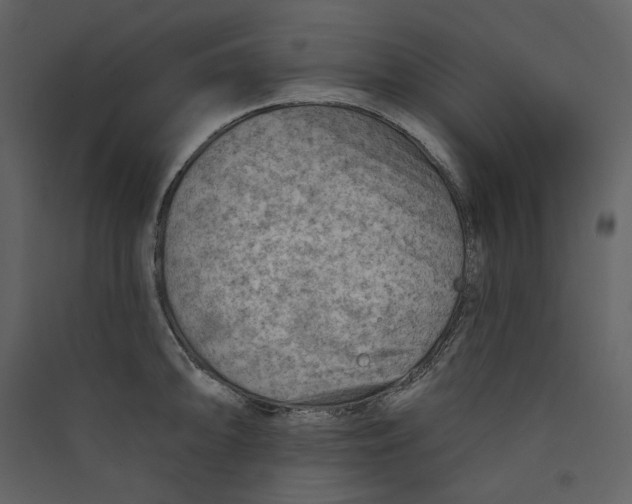 X0000089381094200707131653