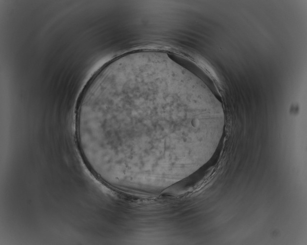 X0000089381095200707131653