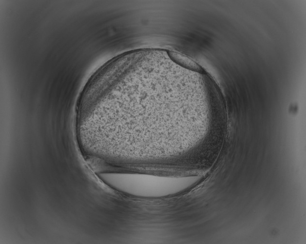 X0000089381096200707131653