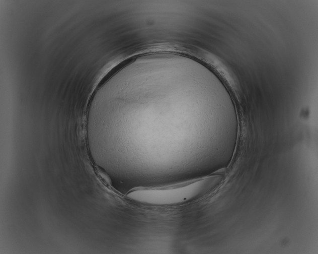 X0000089381097200707131653