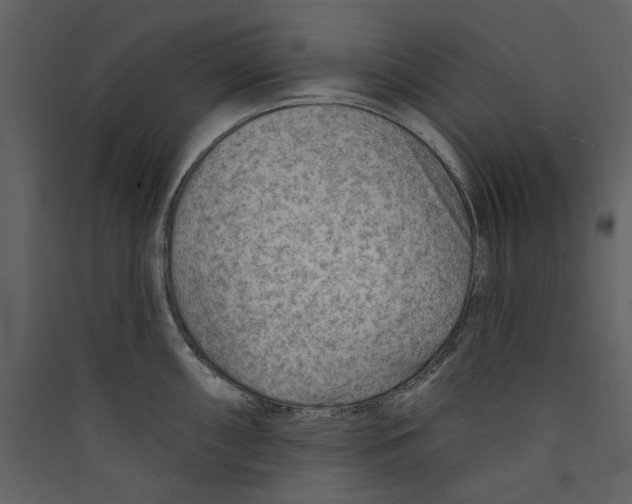 X0000089381098200707131653