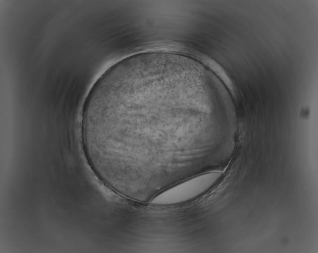 X0000089381099200707131653