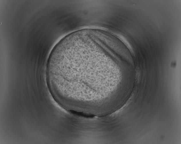 X0000089381100200707131653