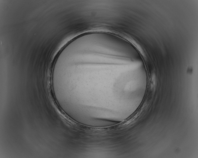 X0000089381101200707131653