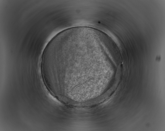 X0000089381102200707131653