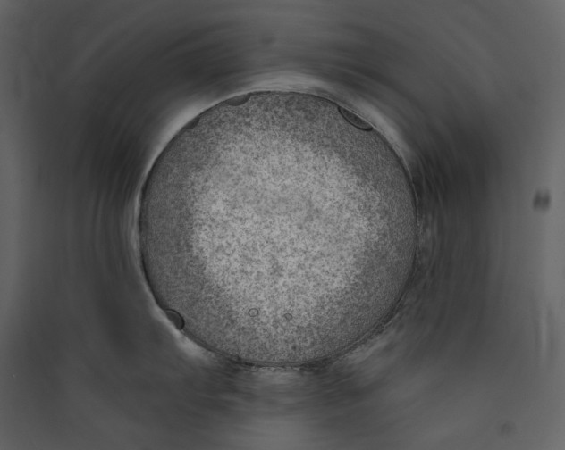 X0000089381103200707131653