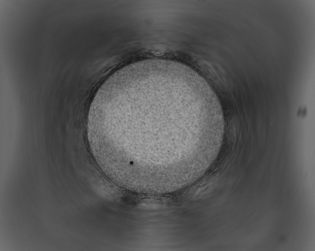 X0000089381105200707131652