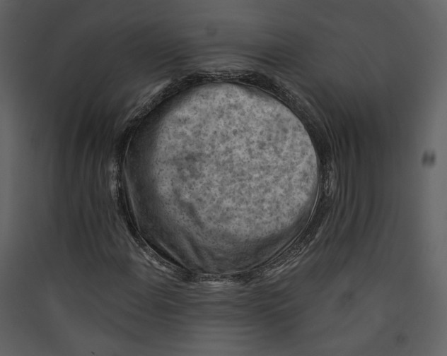 X0000089381108200707131652