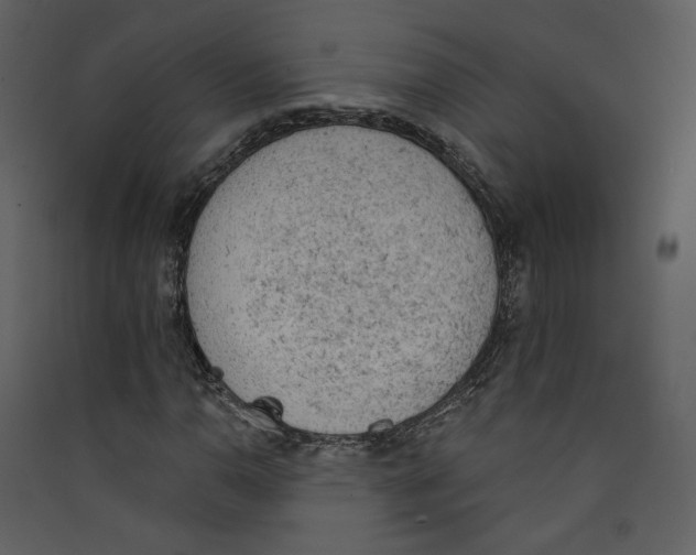 X0000089381110200707131652