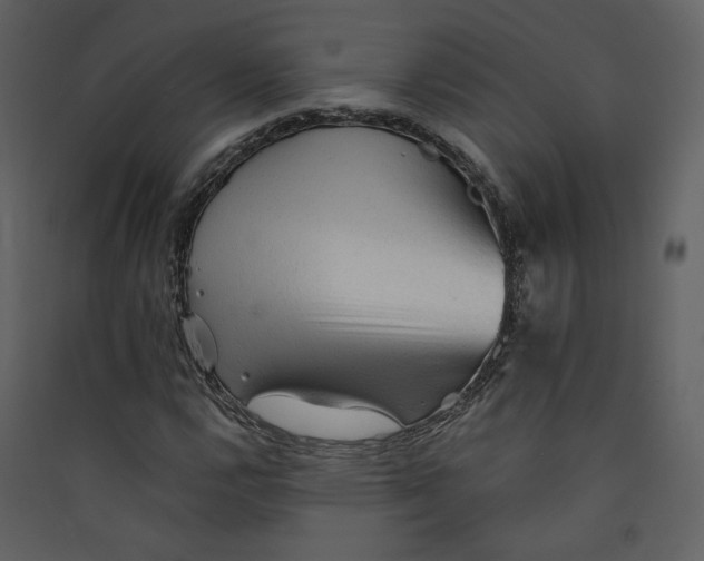 X0000089381112200707131652