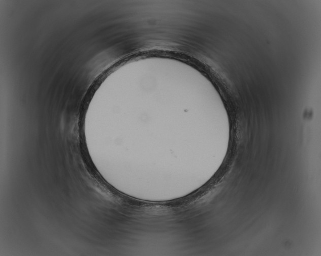 X0000089381113200707131652