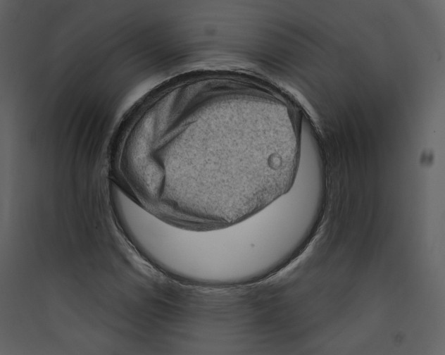 X0000089381114200707131652