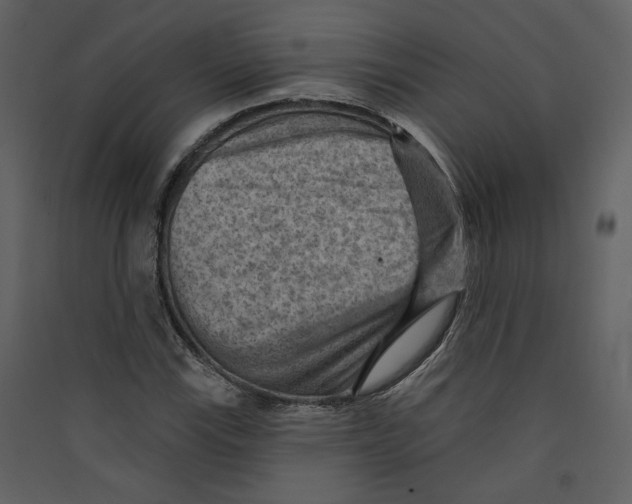 X0000089381115200707131652