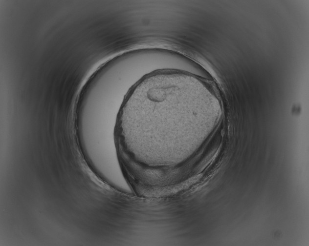 X0000089381116200707131652