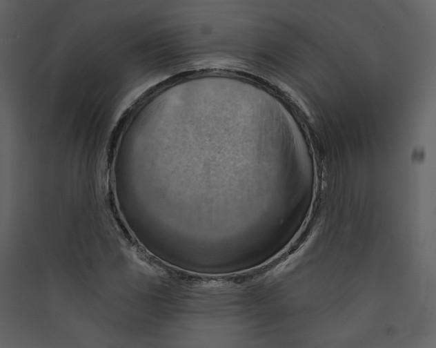 X0000089381117200707131652