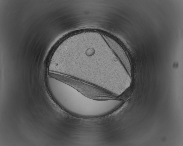 X0000089381118200707131652