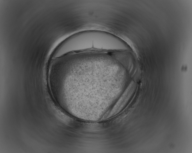 X0000089381120200707131652