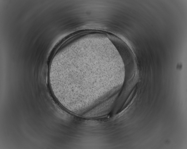 X0000089381123200707131652