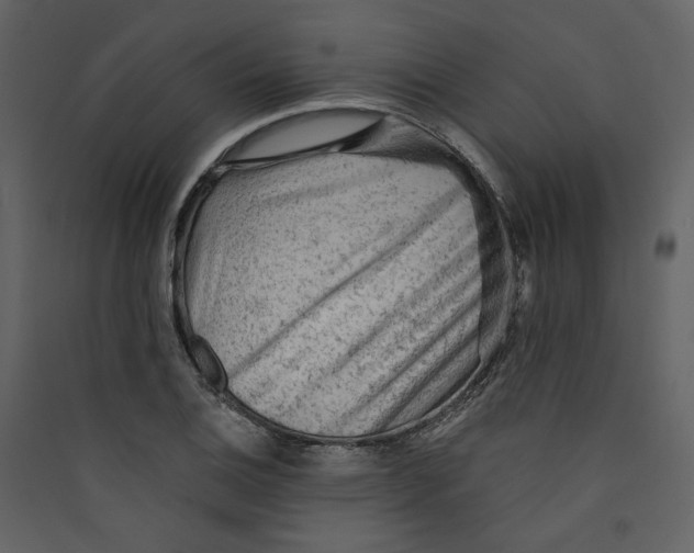 X0000089381124200707131652