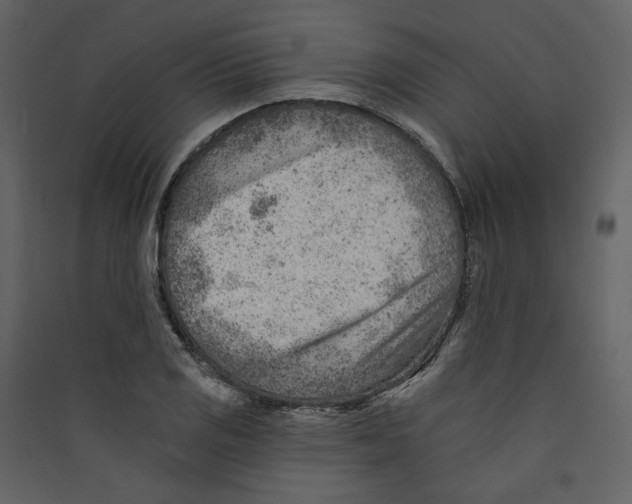 X0000089381125200707131652