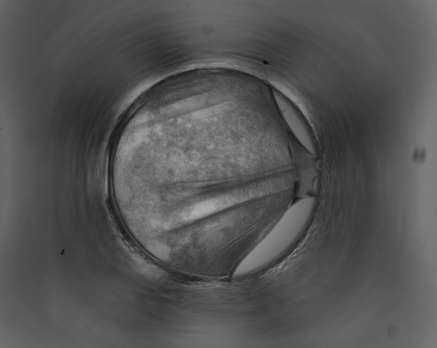 X0000089381127200707131652