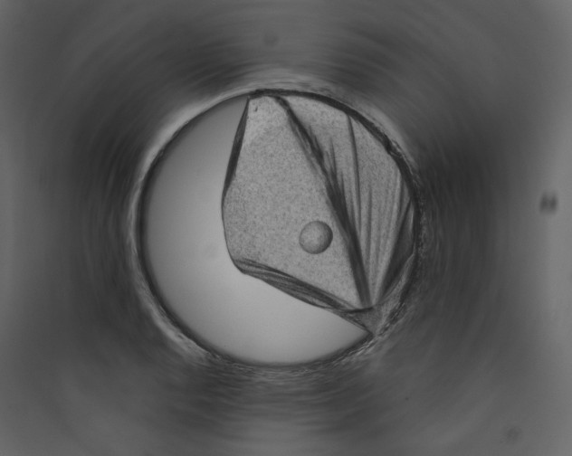 X0000089381128200707131652