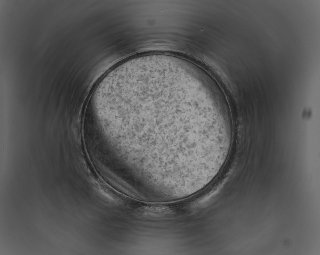 X0000089381129200707131652