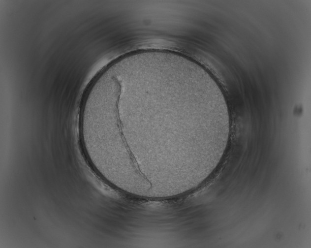 X0000089381130200707131652