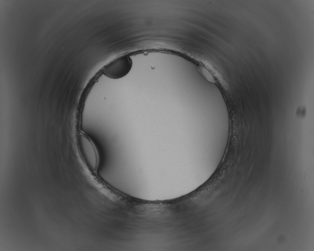 X0000089381134200707131653