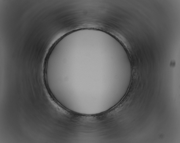 X0000089381135200707131653