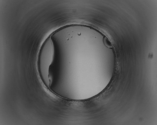 X0000089381136200707131653