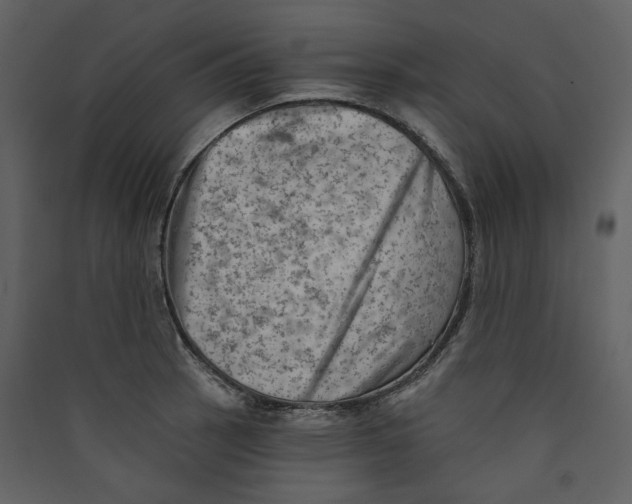 X0000089381137200707131653