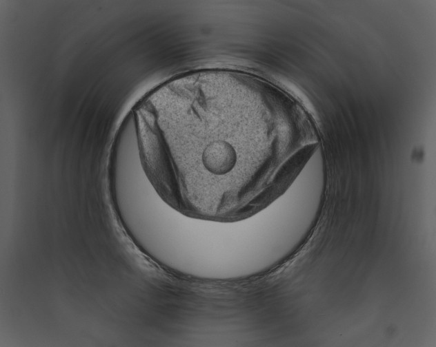 X0000089381138200707131653