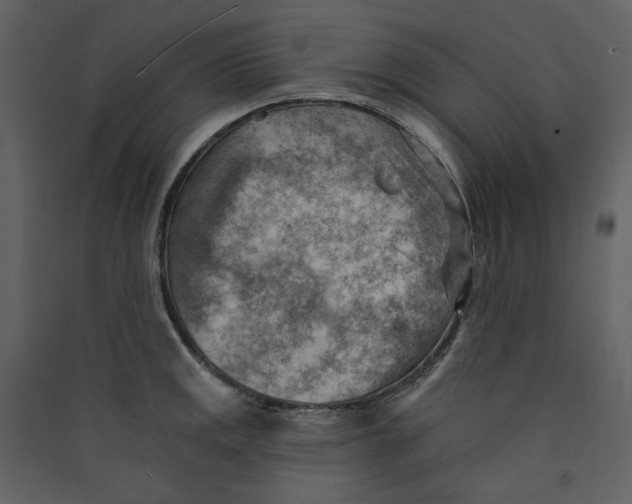 X0000089381141200707131653