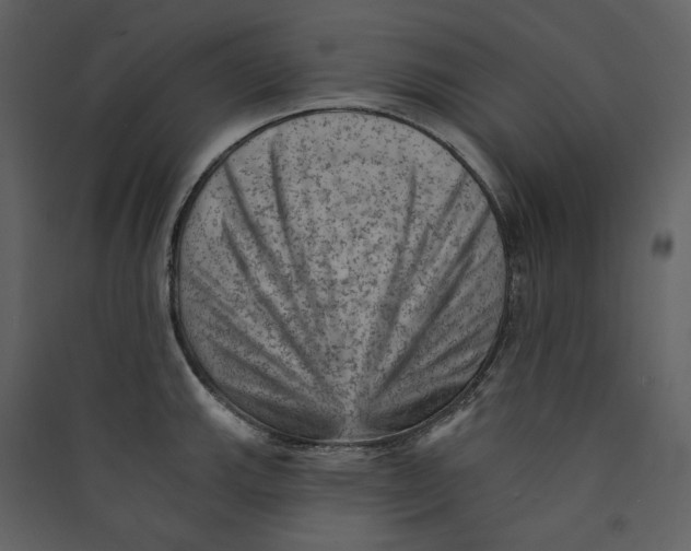 X0000089381143200707131653