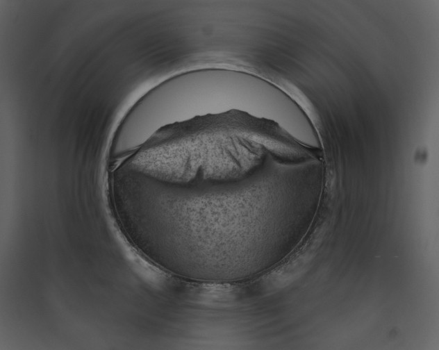 X0000089381144200707131653