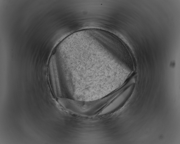 X0000089381145200707131653