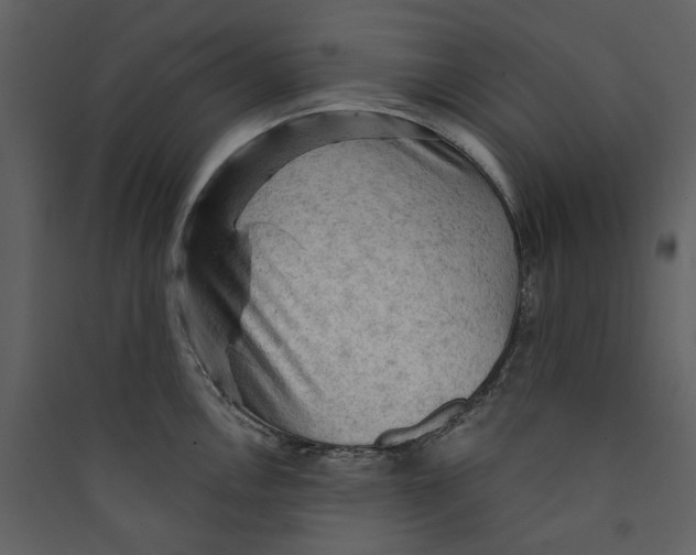 X0000089381146200707131653