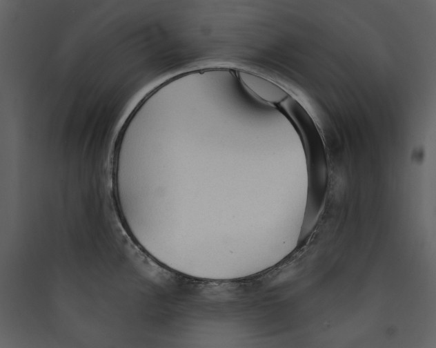 X0000089381148200707131653