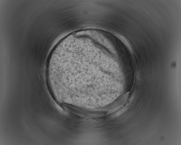 X0000089381149200707131653