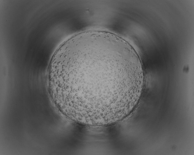 X0000089381150200707131653