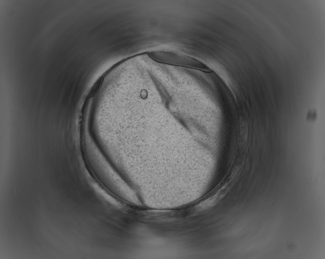 X0000089381151200707131653