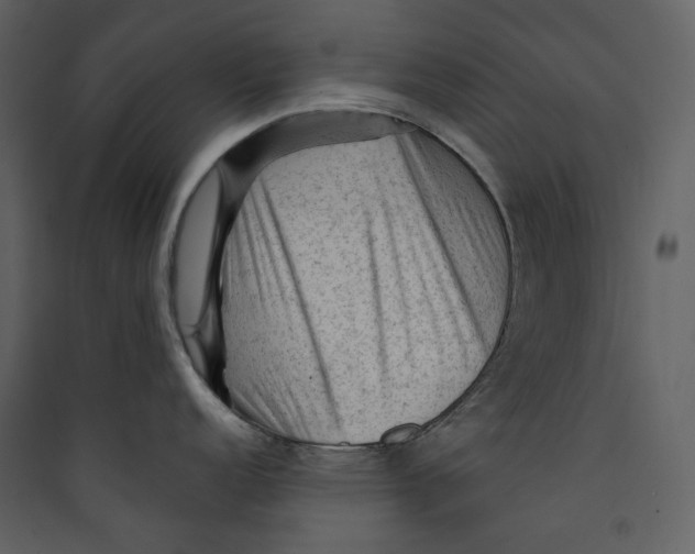 X0000089381152200707131653