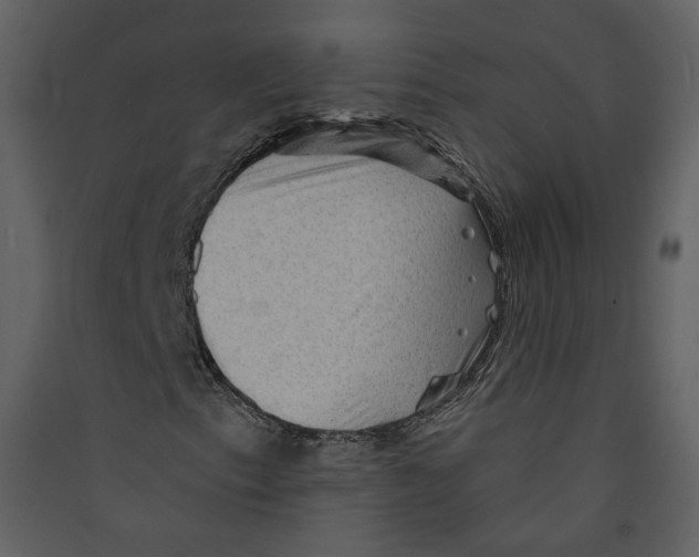 X0000089381153200707131652